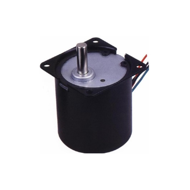 60TYD Synchronous Motor  