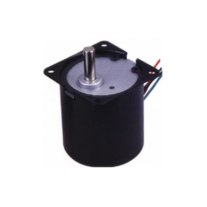 60TYD  Synchronous Motor  